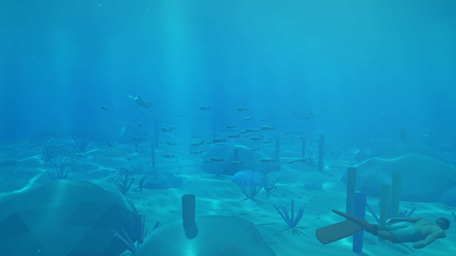 Reef shallows in the Freediving Ocean Lab: caustic light on the sand, a school of fish over the coral and freedivers circling the plateau