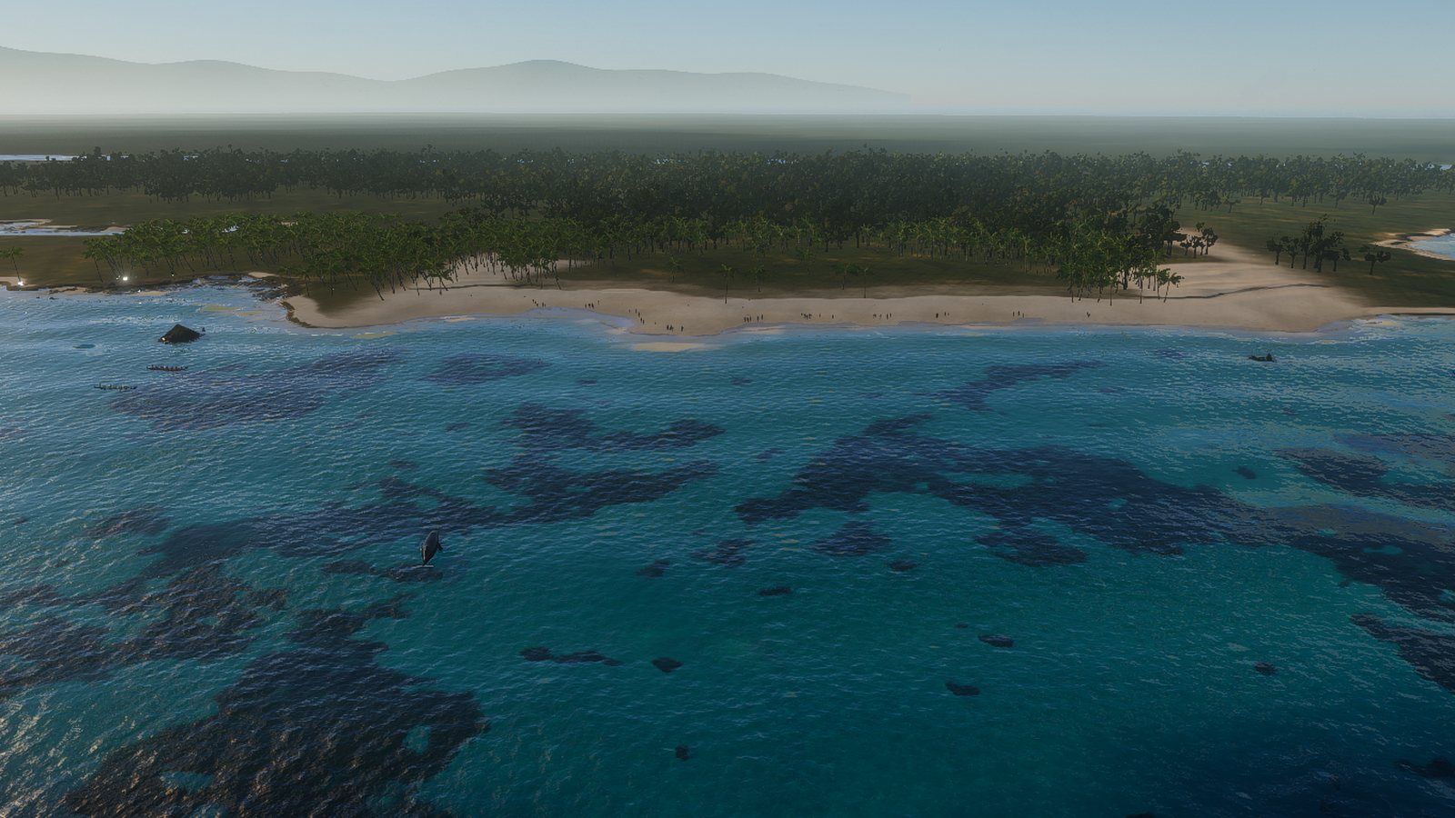 Hadsan beach from the air: the reef flat, the drop-off and the crowd on the sand