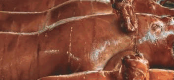 Close-up of crisp lechon skin