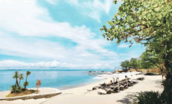 White-sand Mactan Newtown Beach with loungers and palm trees