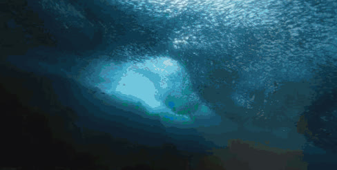 Underwater view of a huge sardine school in Moalboal
