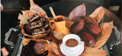 Tray of tablea chocolate, a cup of hot chocolate and cacao pods