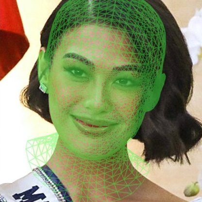 The fitted head as a green mesh over a smiling photo