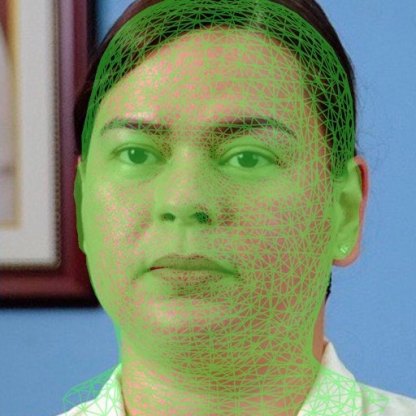 The fitted head as a green mesh over the January 2022 photo